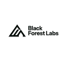 Black Forest Labs 账号或充值(FLUX)