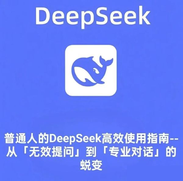 Deepseek资料 商品图片