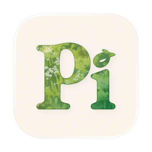 Pi 账号