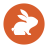 CodeRabbit