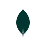 MongoDB