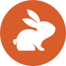 Coderabbit