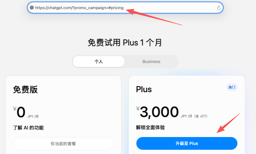 浏览器地址栏中 promo_campaign 参数已清空，ChatGPT 定价页显示 Plus 正价与升级至 Plus 按钮