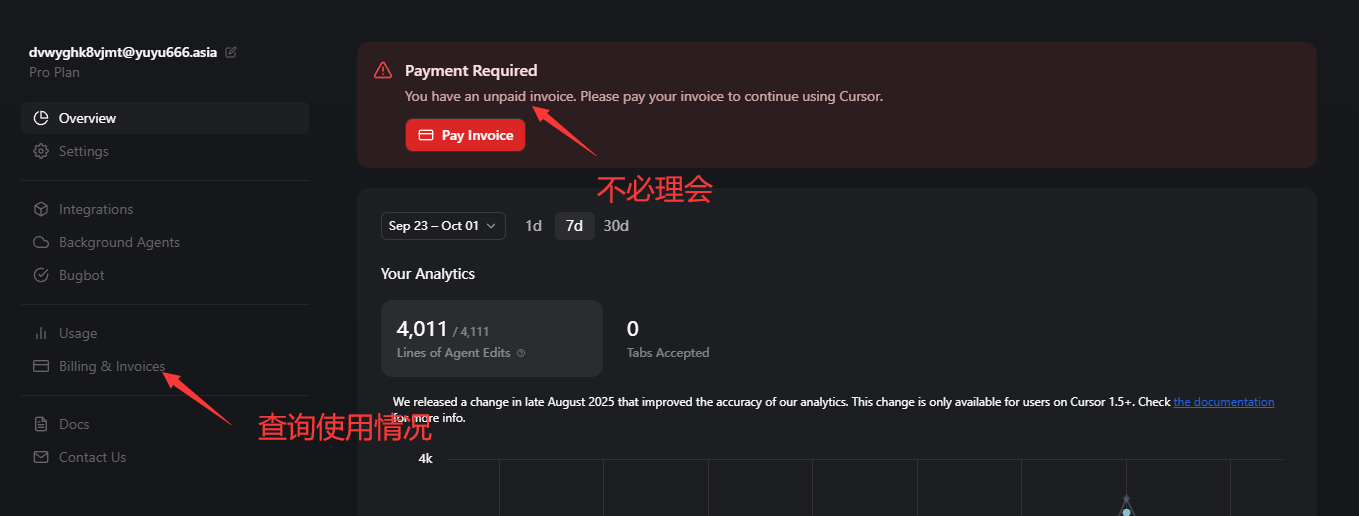 Cursor 使用情况入口示意图