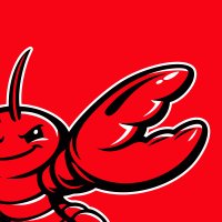 OpenClaw🦞
