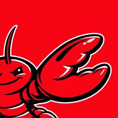 OpenClaw🦞